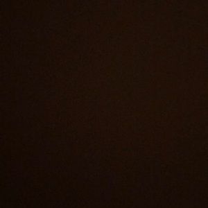 Meet your Posher, Bella